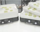 食品乾燥機でドライキウイ作り方作り方3写真