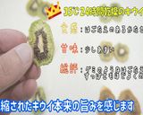 食品乾燥機でドライキウイ作り方作り方12写真