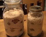 簡単☆冷凍してから漬ける梅シロップ作り方4写真