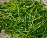 ☆わさび醬油・鰹節で♪豆苗のお浸し☆作り方3写真