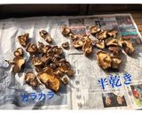 手作り干し椎茸作り方3写真
