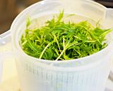 水菜のポタージュ作り方1写真