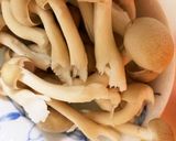 全てレンジバタポンソース豚平焼き風作り方4写真