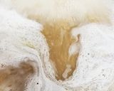 薬膳簡単・美味しすぎる・さば缶のきのこ煮作り方2写真