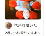 日付けゆでたまご作り方4写真