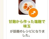 甘麹から作った塩麹で作る味玉作り方8写真