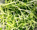 香ばし♪豆苗とツナの胡麻マヨサラダ＊簡単作り方1写真