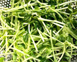 香ばし♪豆苗とツナの胡麻マヨサラダ＊簡単作り方1写真