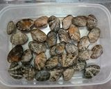 〈適量レシピ〉クラムチャウダー作り方1写真
