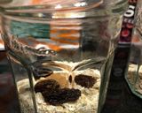 簡単朝食！　オーバナイトオーツ　作り方1写真