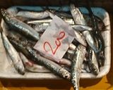 愛知の魚100　イワシのガーリックオイル作り方1写真