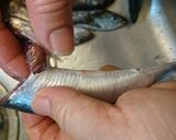 愛知の魚100　イワシのガーリックオイル作り方3写真