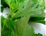 茄子味噌　大葉も入ってます。作り方6写真