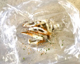 お弁当に！ちくわの磯胡麻和え作り方2写真