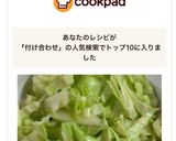付け合わせに^_^しんなりキャベツ作り方7写真