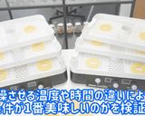 食品乾燥機でドライパインナップル作り作り方3写真