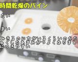 食品乾燥機でドライパインナップル作り作り方10写真