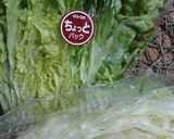 雛祭りパーティー生春巻き作り方6写真