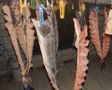 ホッケの素干し作り方7写真
