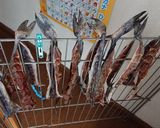 ホッケの素干し作り方10写真