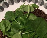 ピンク野菜とゴートチーズのローストサラダ作り方6写真