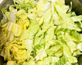 簡単　白菜とミンチの無水カレー作り方1写真