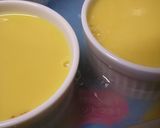 ノンファットカスタードプリン作り方10写真