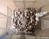 芝麻黑木耳杏仁奶昔．柯媽媽の植物燕窩作り方2写真