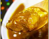 カレー研究会報告！簡単にグリーンカレー！作り方1写真