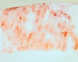 45℃ サーモンのセルクル仕立て作り方13写真