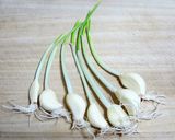 発芽ニンニクのスープ作り方5写真