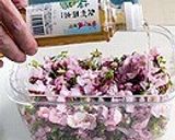 桜の花の塩漬け☆5作り方2写真