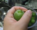 おなかも快調！スッキリ梅シロップ作り方3写真