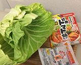 簡単ロールキャベツ 材料は三つだけ！作り方1写真
