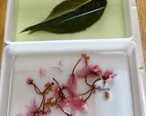 道明寺の桜餅作り方2写真