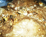 クルミチョコパン（血管ダイエット1492作り方5写真