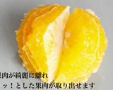 お皿にできる八朔のむきかた・・・産地から作り方7写真