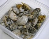 簡単！あさりとポワローのクリーム煮作り方1写真