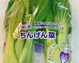 無限チンゲン菜/無限青梗菜作り方1写真