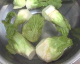 これは美味い♪蕾菜(子持ち高菜)の浅漬け作り方1写真