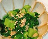 無限チンゲン菜/無限青梗菜作り方6写真
