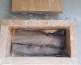 ★市販のしめさばで♡簡単バッテラ寿司作り方3写真