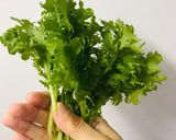 わさび菜のサラダ　林檎と人参はピーラーで作り方1写真