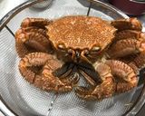 毛ガニの茹で方作り方6写真