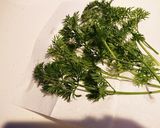 乾燥人参葉作り方1写真