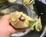 ふきのとうみそ作り方3写真