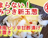 やみつきポテトサラダ☆作り置き大量消費作り方5写真
