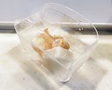 サクラエビでアヒージョ作り方1写真