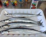 旬にも！秋刀魚の塩焼き作り方3写真