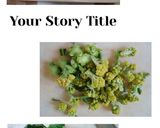 季節野菜の生姜スープ作り方1写真